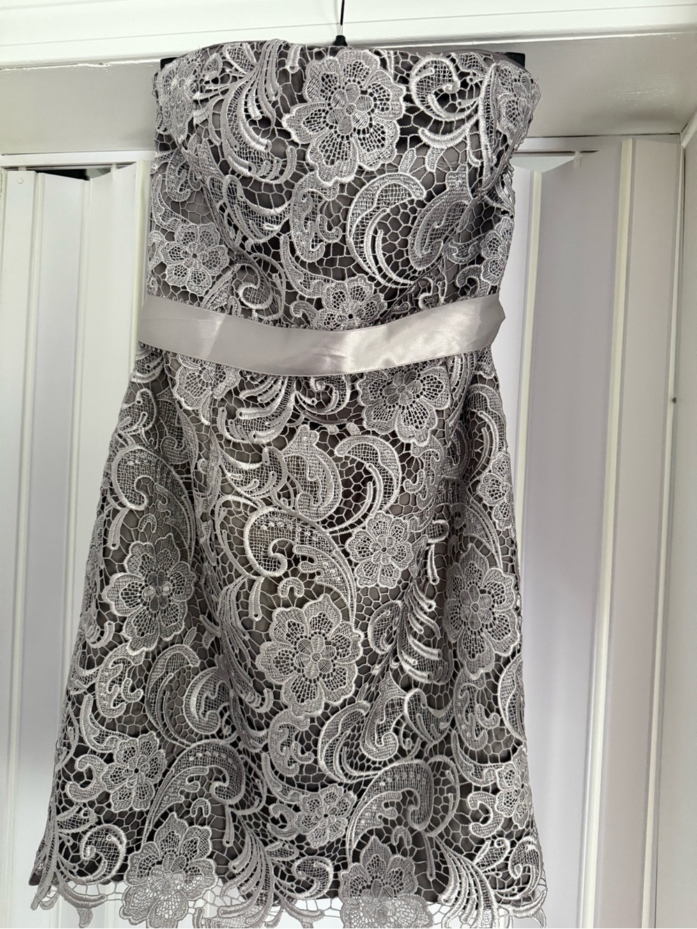 Adrianna Papell evening,silver-gray, floral lace, strapless, mini dress, size 10